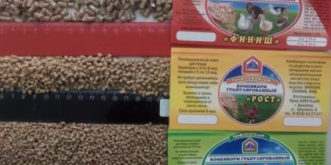 Recept za hranu za brojlere - da li je moguće dati so i kukuruz